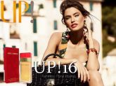 Perfume UP! Essência - Dolce & Gabbana Woman